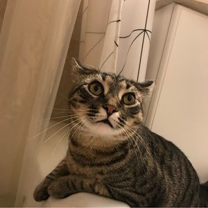 Meet your Posher, Jacob